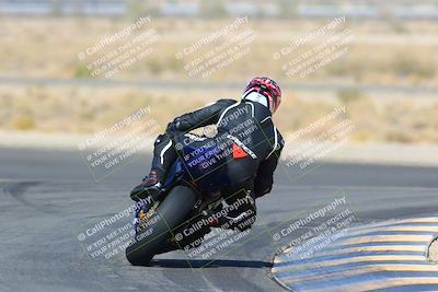 media/Apr-10-2022-SoCal Trackdays (Sun) [[f104b12566]]/Turn 11 Backside (945am)/